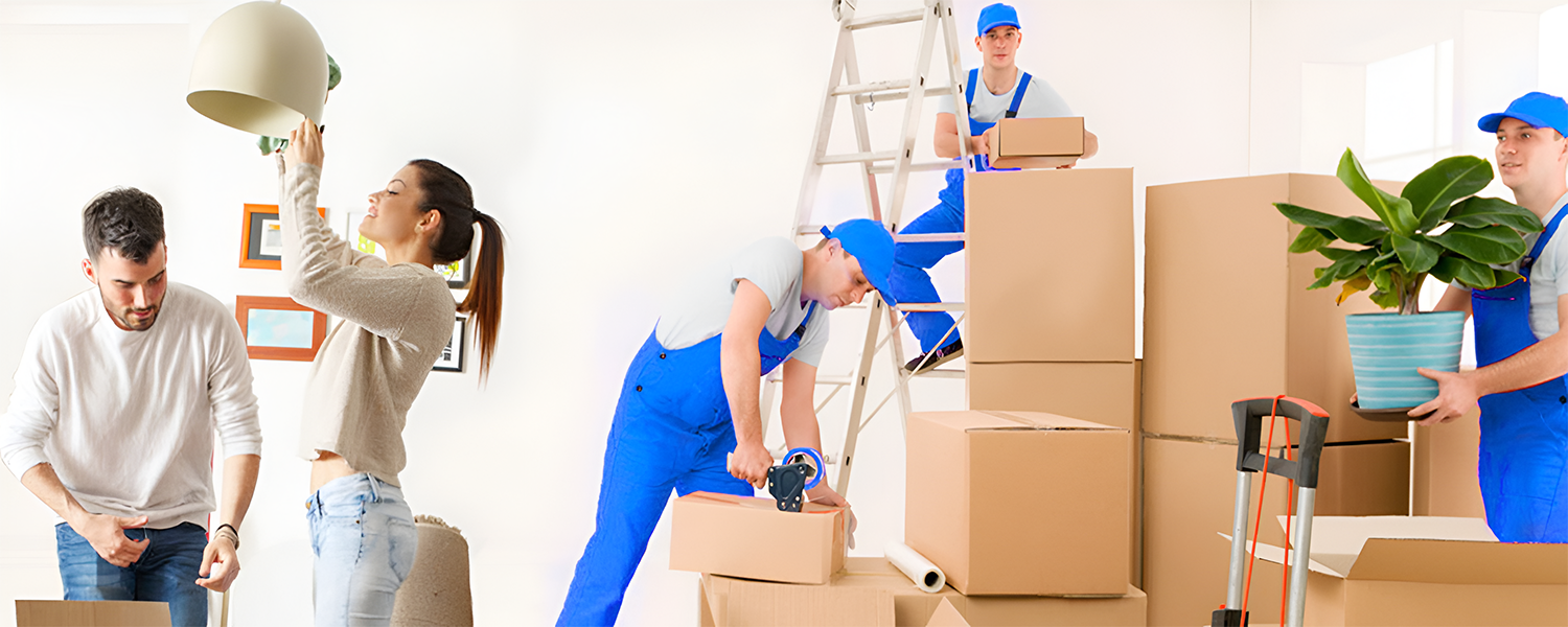 Pioneer Relocation Packers & Movers
